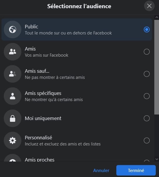 selectioner audience facebook