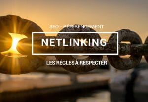 lien-seo-backlink netlinking